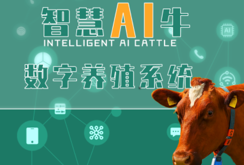 智慧養(yǎng)殖AI牛